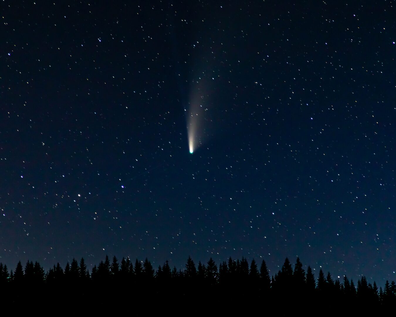 “Le stelle brillano solo in una notte oscura” 