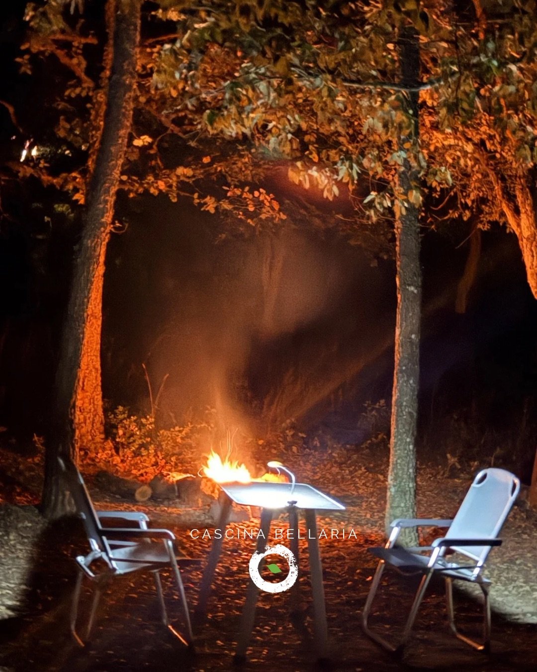 LE STELLE INVECE DEL COMFORT✨
Ho letto un testo che differenzia il viaggio dalla vacanza in relazione a quanto si rimanga o meno nella “zona di comfort".
In questi giorni sono certamente in situazioni disagiate. Giriamo tra mare e montagna vivendo in due con due metri quadrati, non a testa, di spazio che fanno da cucina salotto e letto. Inoltre, per rendere il tutto più soddisfacente, solo raramente siamo in un campeggio con elettricità ma per lo più in mezzo al nulla dove a volte di notte la temperatura scende molto e ci aiuta a rimanere vigili nel caso di visite indesiderate.
Le tante relative difficoltà danno però un senso di soddisfazione immenso ed alla sera il nostro ristorante ha uno spazio infinito dominato dal fuoco atavico con una volta piena di piccole lucine blu che si perdono in una misteriosa oscurità🌌
m.m.
#blogcascinabellaria