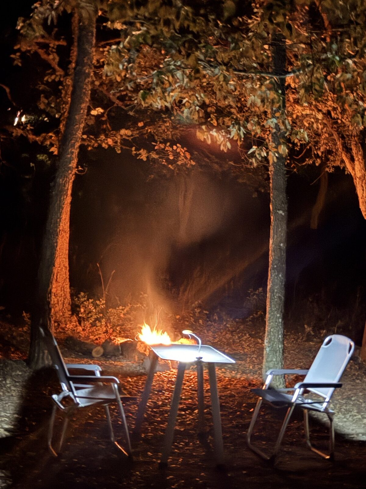 Le stelle invece del comfort